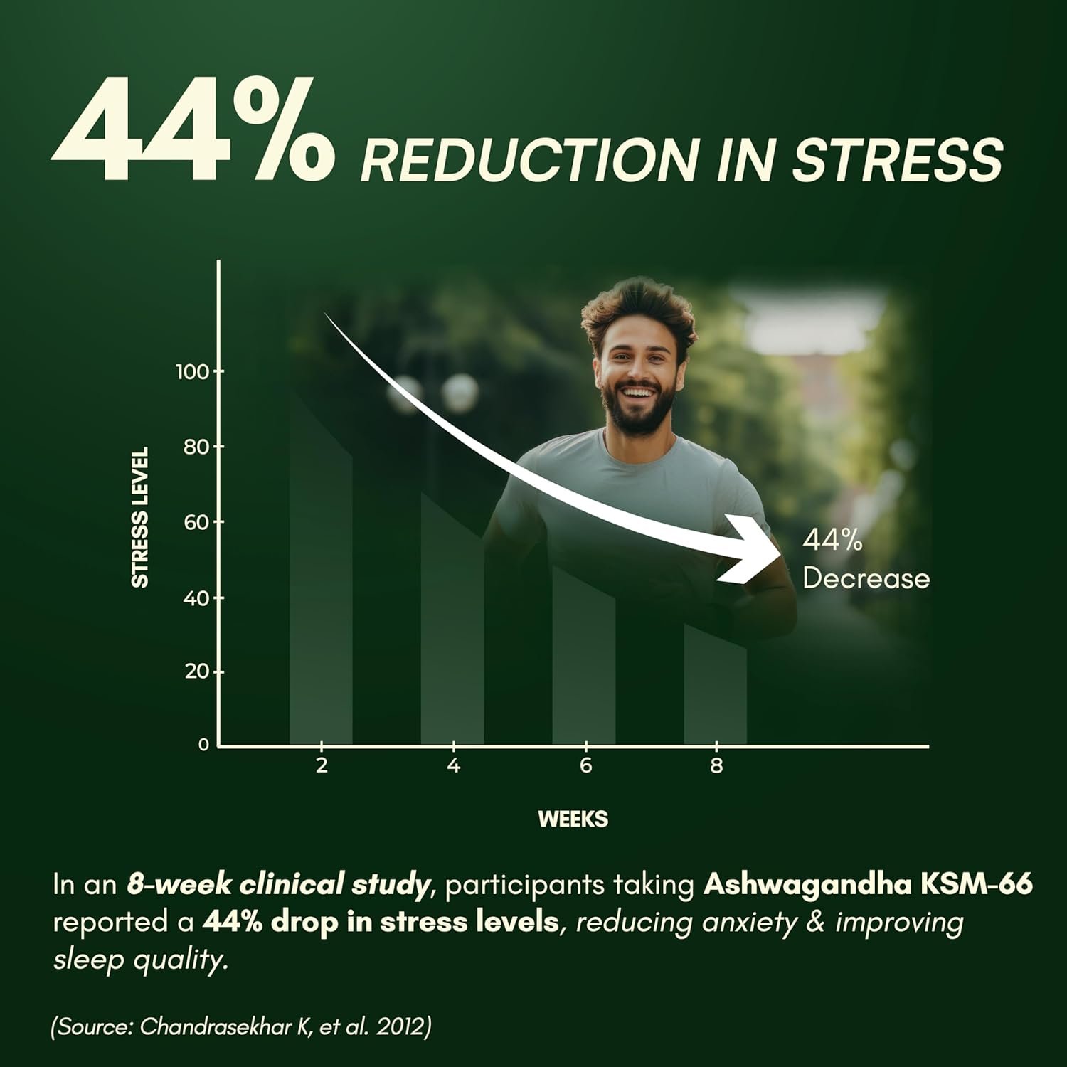 CarePlus Ashwagandha Capsule 100 Pcs | Stress Relief, Energy & Immunity Booster - Image 3